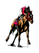 Thoroughbred Owners of Florida, Race Horse Partnerships, Race Horse Shares, Horse Racing Syndicate